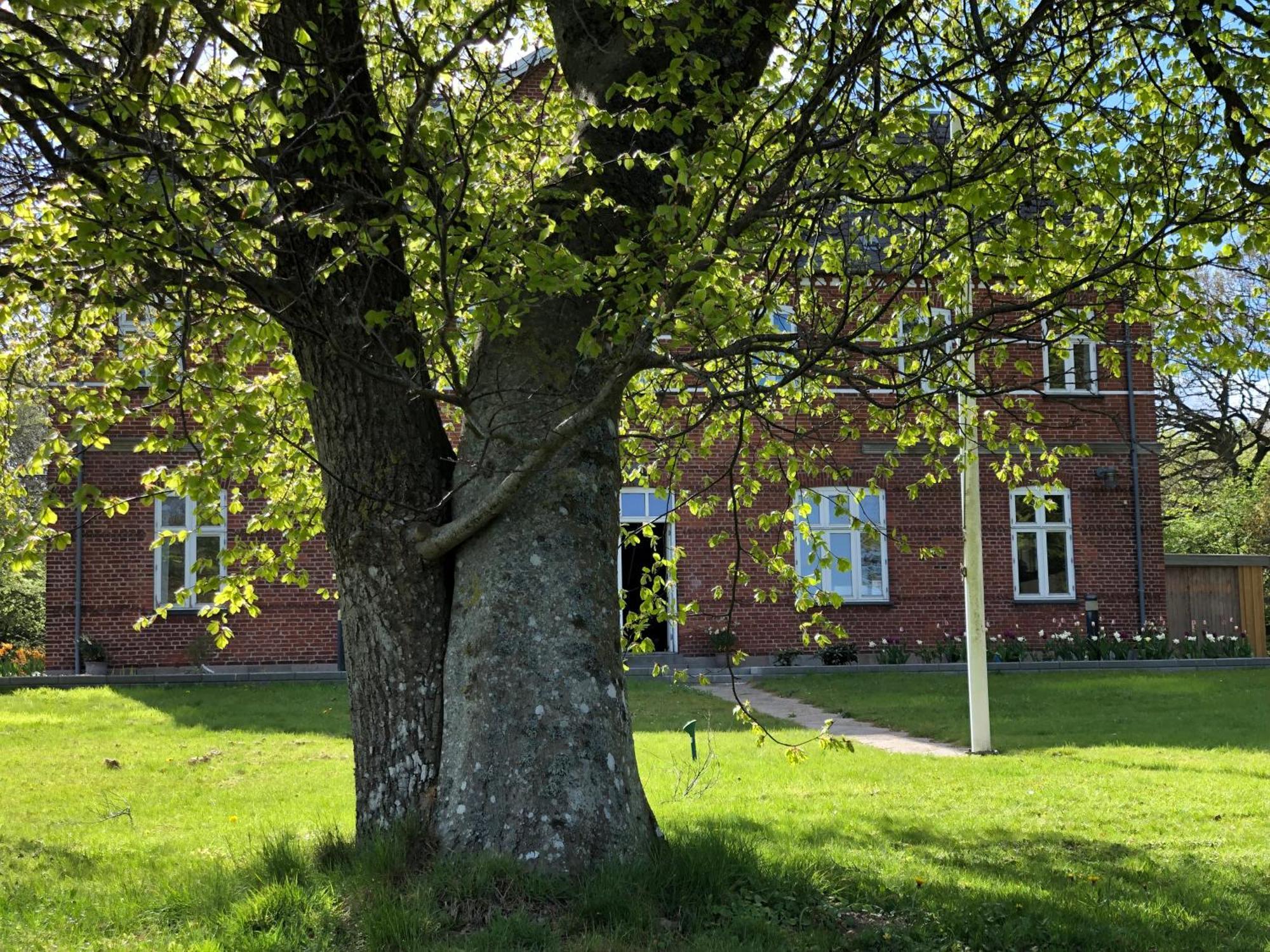 Hotel Rolykke Sæby Zewnętrze zdjęcie